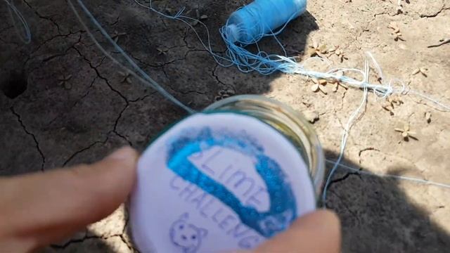 ловим тарантула, словили ПАУКА и отпустили Catching big SPIDER смотреть онлайн