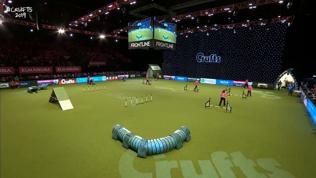 We Got a Runner! Rescue Dog Agility | Crufts 2019 смотреть онлайн