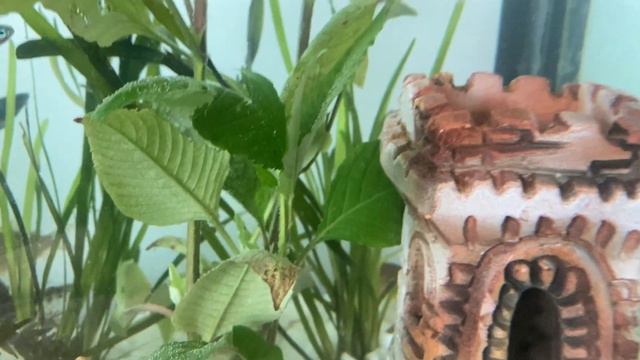 Бабы дерутся смотреть онлайн