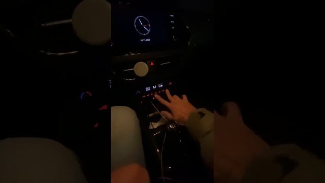Калибровка климат контроля Polo Sedan 2021 смотреть онлайн