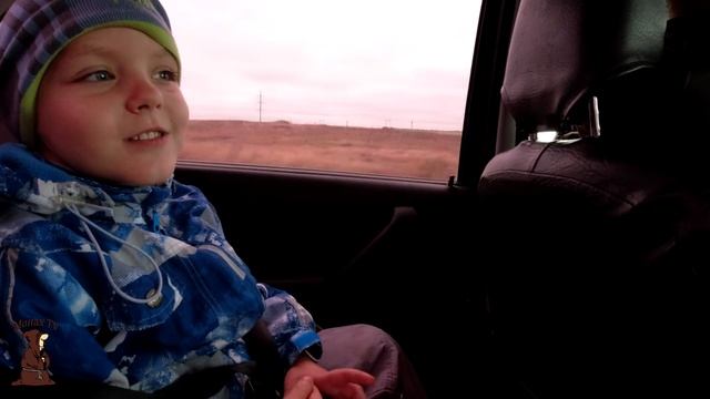 Идём на Вешенки с Пилой Сбор грибов, Вешенка, Маслята смотреть онлайн