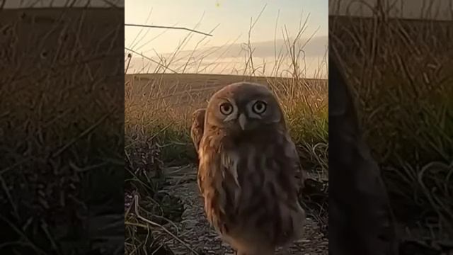 Выключи камеру. смотреть онлайн