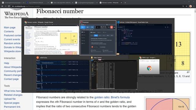 WTF is Lua смотреть онлайн