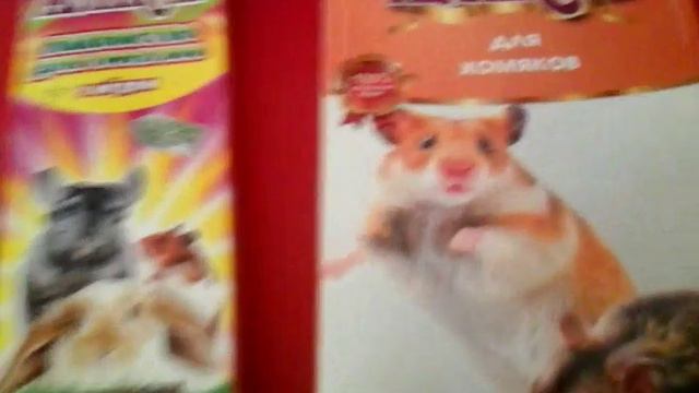 Обет хомяка:):) смотреть онлайн
