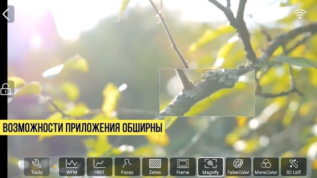 Hollyland Mars X — маленькая игрушка для больших камераманов смотреть онлайн