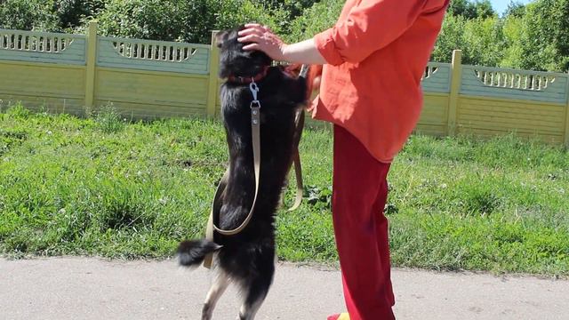 моя любимая Фира смотреть онлайн