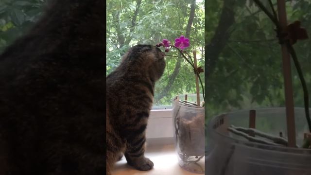 Матютя смотреть онлайн