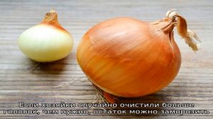 Как сохранить лук на зиму и можно ли его замораживать