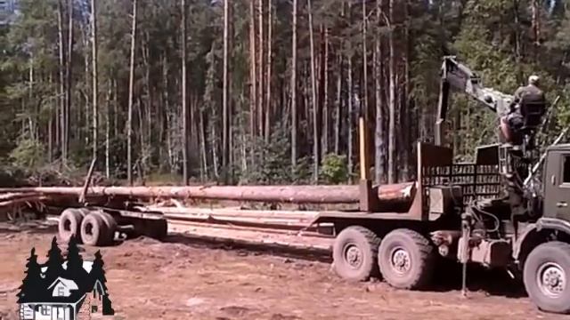 Компания "КР-Мастер" г.Рязань, заготовка леса для изготовления сруба. смотреть онлайн