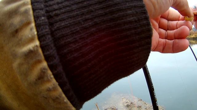 Окушок 22 10 2017 р.Томь Берёзово смотреть онлайн