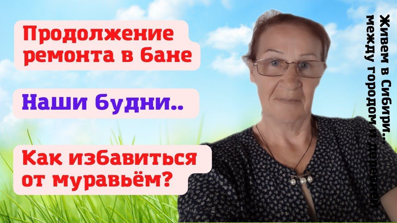 24.06.2022 Ремонт продолжается. Наши будни.. Муравьи замучили