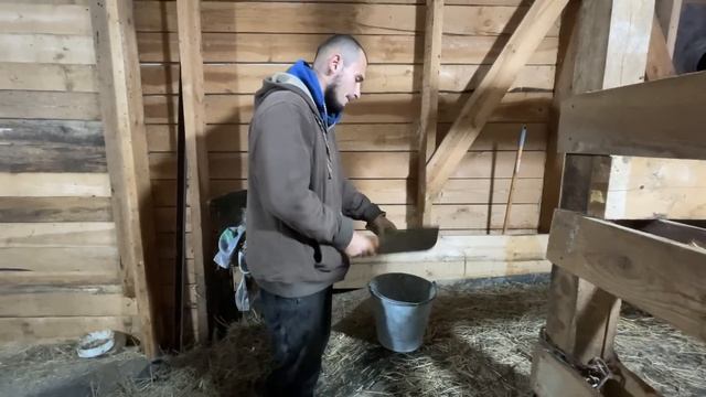 ОН ПРОСТО ТУПОЙ! ГОТОВИМСЯ К ЗИМЕ! УБОРКА ТЕРРИТОРИИ! НАША ФЕРМА! ЖИЗНЬ ПРОСТЫХ ЛЮДЕЙ В ДЕРЕВНЕ! смотреть онлайн