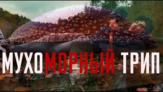 Мухоморный Трип Репорт. Умер при жизни. Bad trip
