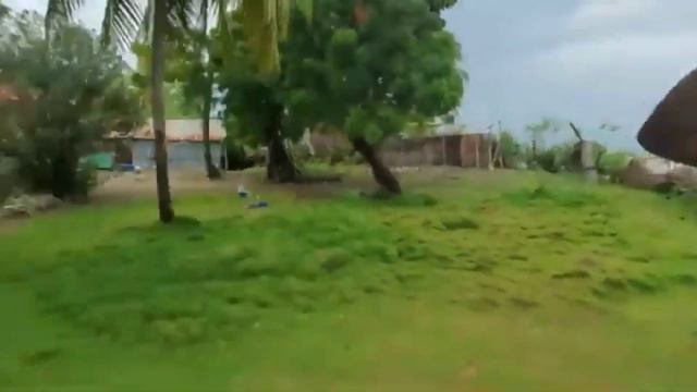 Blondedy Ferdinand pete rèl paske Legliz nan lakou fanmil kraze plat смотреть онлайн