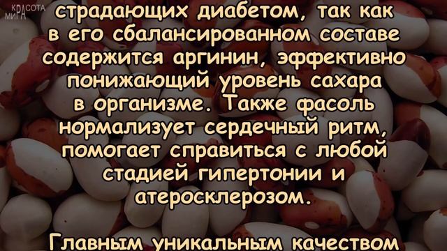 ФАСОЛЬ, такая НЕОБХОДИМАЯ для ЗДОРОВЬЯ!