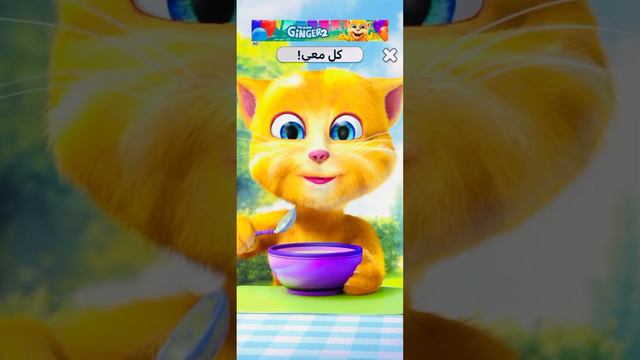 Talking Ginger Cat Funny Gameplay# Episode 6