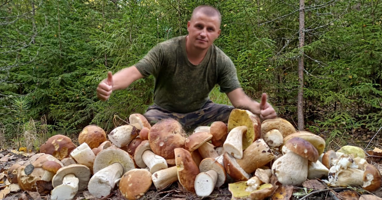 СТОЛЬКО БЕЛЫХ ГРИБОВ С ОДНОЙ ПОЛЯНЫ Я ЕЩЁ НЕ СОБИРАЛ!!! Грибы 2023. смотреть онлайн