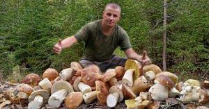 СТОЛЬКО БЕЛЫХ ГРИБОВ С ОДНОЙ ПОЛЯНЫ Я ЕЩЁ НЕ СОБИРАЛ!!! Грибы 2023.