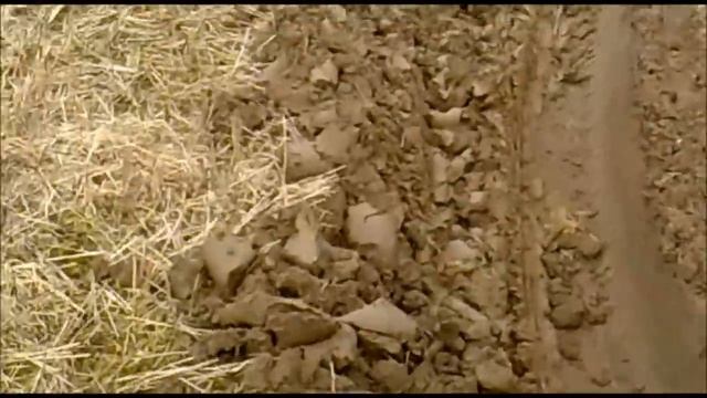 Trumpas filmukas apie pavasario ivykius _D.mp4 смотреть онлайн