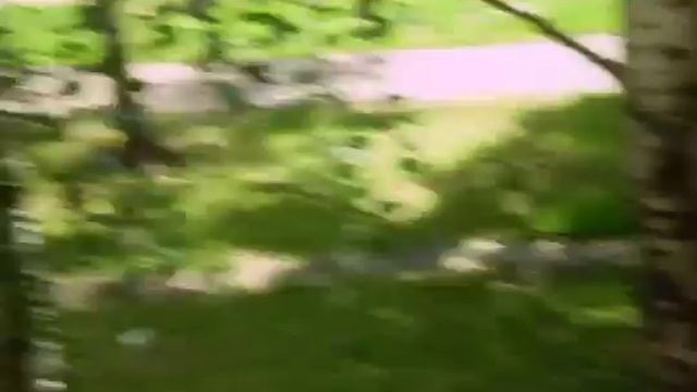 Подгузники за нашим окном