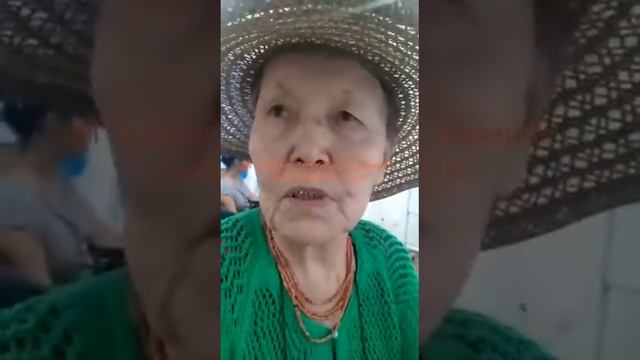 Хемохим 81 жашта апа женшень+спирулина (жыгылып) смотреть онлайн