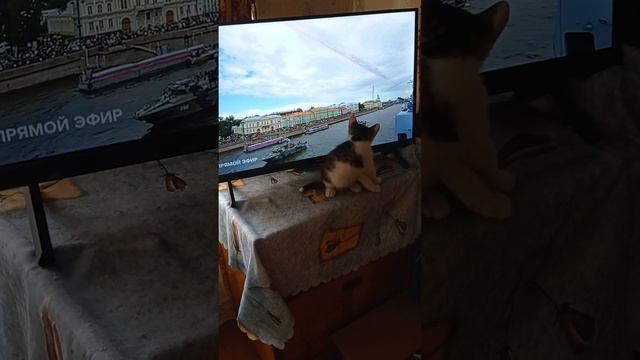 30 октября 2022 г. смотреть онлайн