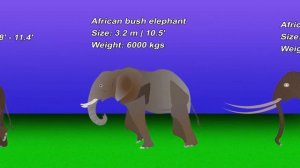 Elephant vs Mammoths Size Comparison in 2023 | Elephant vs Mammoths March 2023 | Living vs Extinct