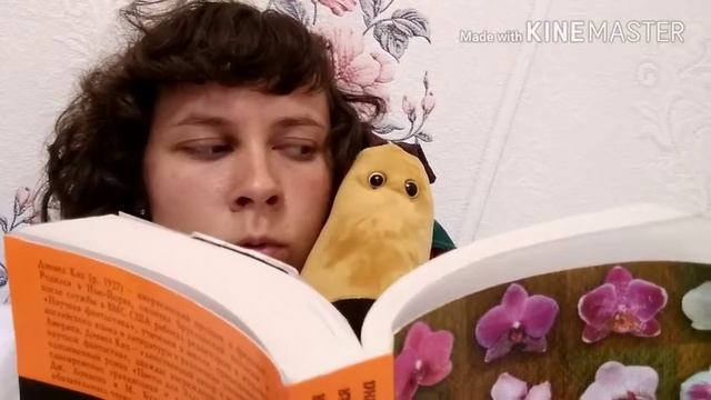 Подарили собаку смотреть онлайн