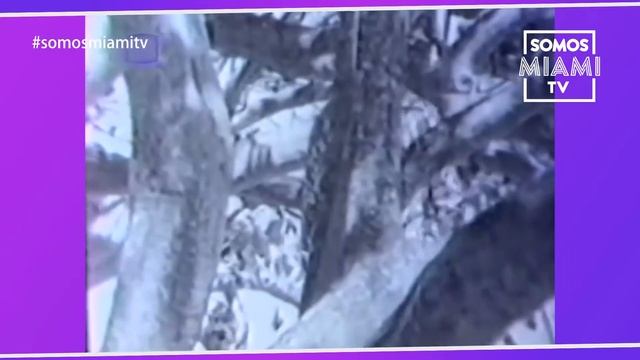 #Ubermami en La Habana con la actriz cubana Diana Rosa Suarez смотреть онлайн