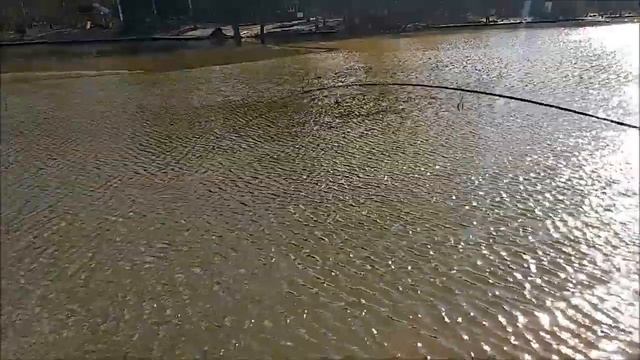 Форель ловится и на закидушки, и на спиннинг. Клёвое место. смотреть онлайн