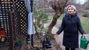 Дача в Германии | Обзор дачи в Январе | Будьте внимательны @galabum