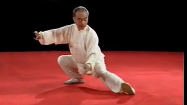 Ма Хун Тайцзицюань стиля Чэнь Ч1 смотреть онлайн