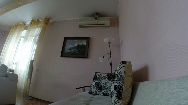 Jump cat смотреть онлайн