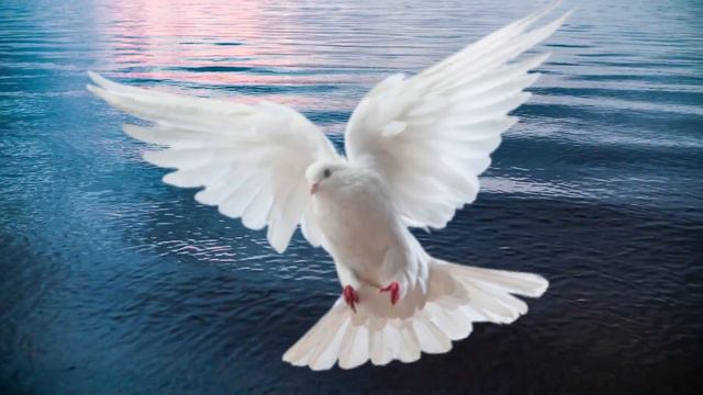 Oracion al Espiritu Santo cada dia Hoy Viernes 24 d Febrero de 2023 en el Cenaculo #orarenelcenacul смотреть онлайн