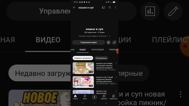 500 подписчиков спалил лицо /кошки и суп