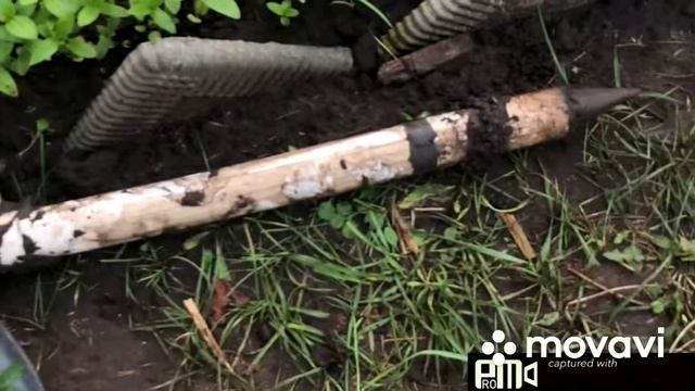 Делаю клумбу»разлившиеся бархатцы» смотреть онлайн