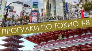 Большая прогулка по Токио | Асакуса | Сибуя | Современное искусство | Прогулки по Токио #8