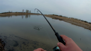 Спиннинг с берега. Ловля щуки на спиннинг весной. Вечерний клёв хищника. Рыбалка на спиннинг 2023.