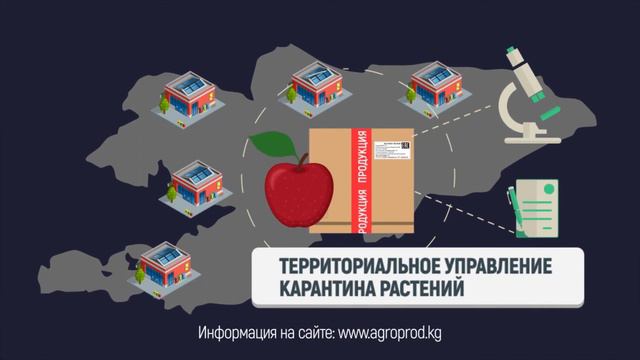 Это важно знать: сертификация и маркировка сельхозпродукции на экспорт смотреть онлайн