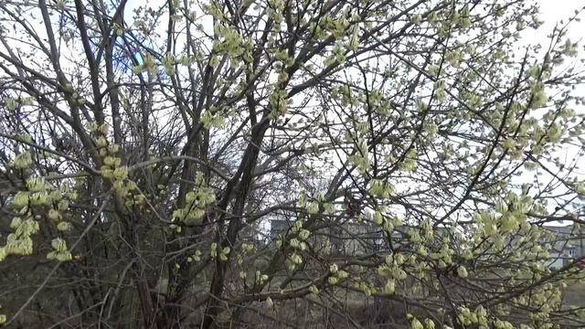 После весеннего дождя. смотреть онлайн