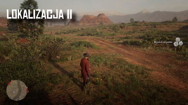 Lokalizacja: Muszkat Angielski - Wyzwania Dzienne [Red Dead Online] смотреть онлайн