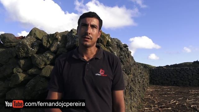 Os Touros De Manuel Silva - Ilha Graciosa Açores смотреть онлайн