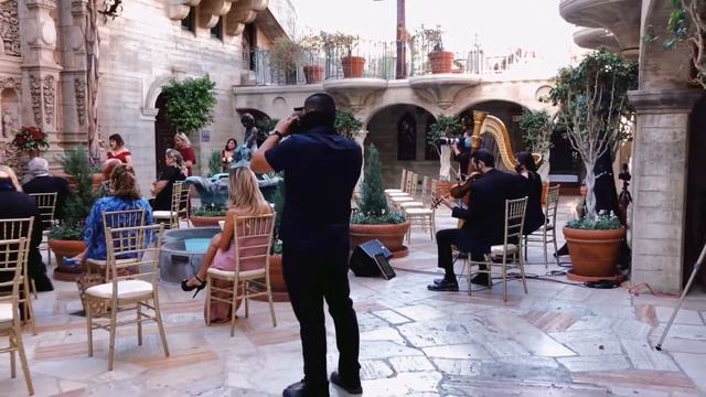 Two Towns Entertainment - Harp + Violin (Girls Not Grey AFI Cover)