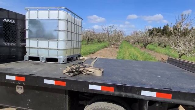 13 марта на опылении черешни смотреть онлайн