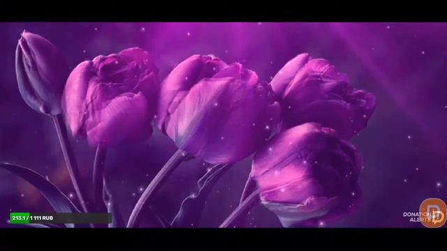 Стрим.🙂 смотреть онлайн