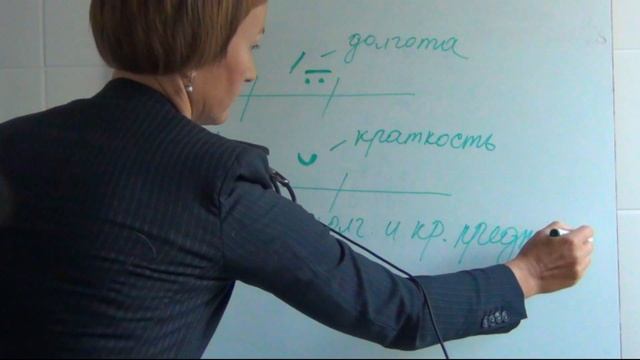 Введение в латинскую анатомическую терминологию смотреть онлайн