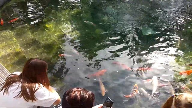 Краснодар/День Рождения/Парк Галицкого смотреть онлайн