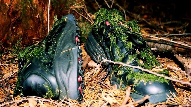 Лес самоубийц в Японии смотреть онлайн