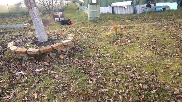 20181027 Ника и колечко смотреть онлайн