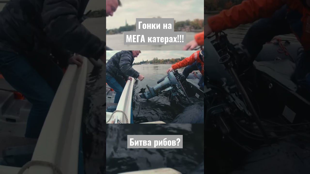 Битва Рибов смотреть онлайн